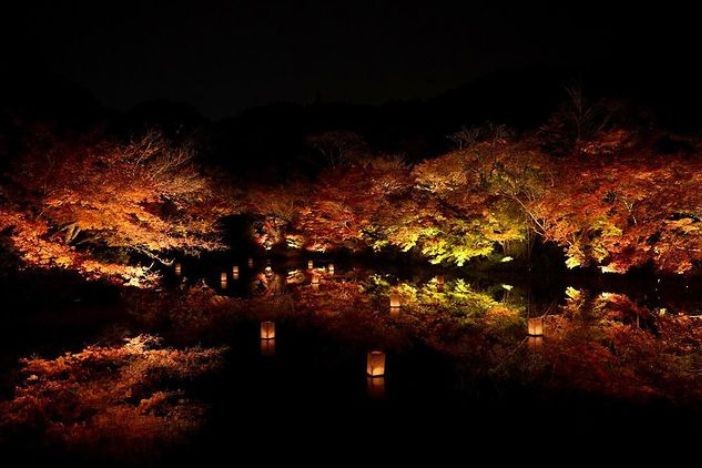 日本紅葉2022 日本旅遊賞楓懶人包 拍拖景點 紅葉打卡攻略